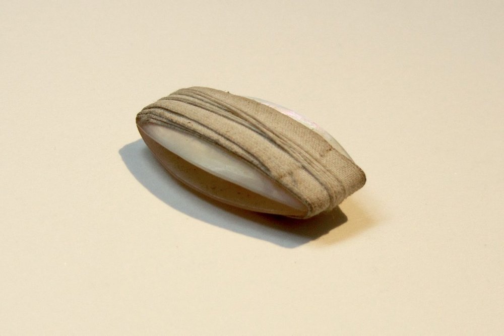 Instrument image
