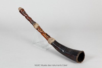 Trompe à embouchure latérale