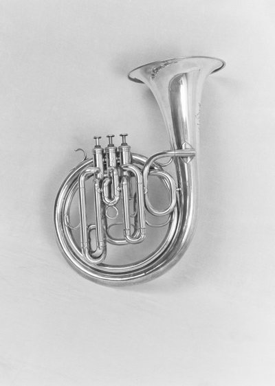 Ventil ballad horn. Nominal pitch: C.