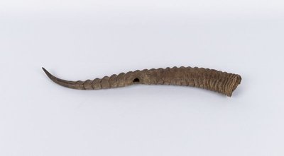 Side-blown horn