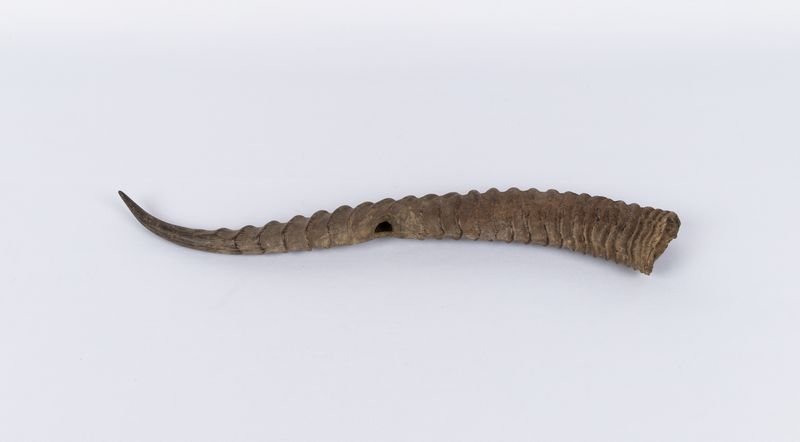 Instrument image