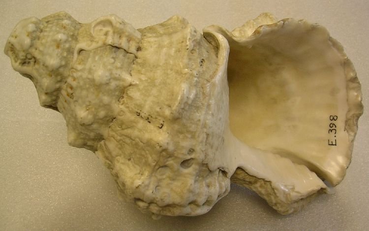 Instrument image