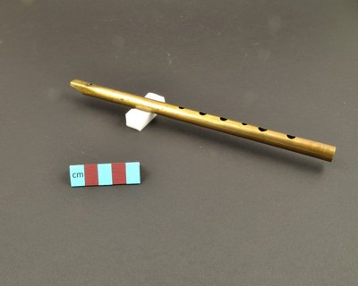 Whistle