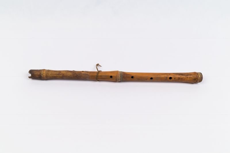 Instrument image