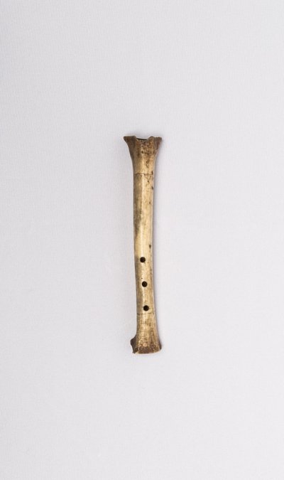 End-blown flute
