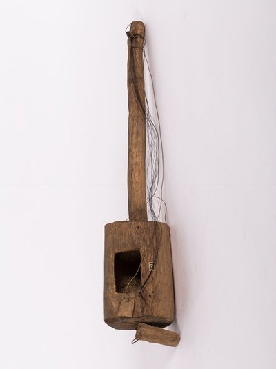 Folk violin