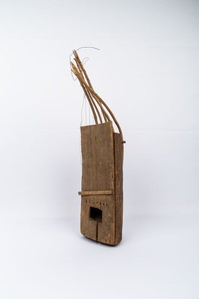 Pluriarc