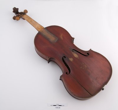 Violin