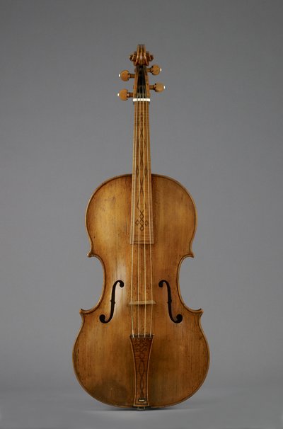 Viola