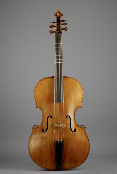 Viol, possibly bass