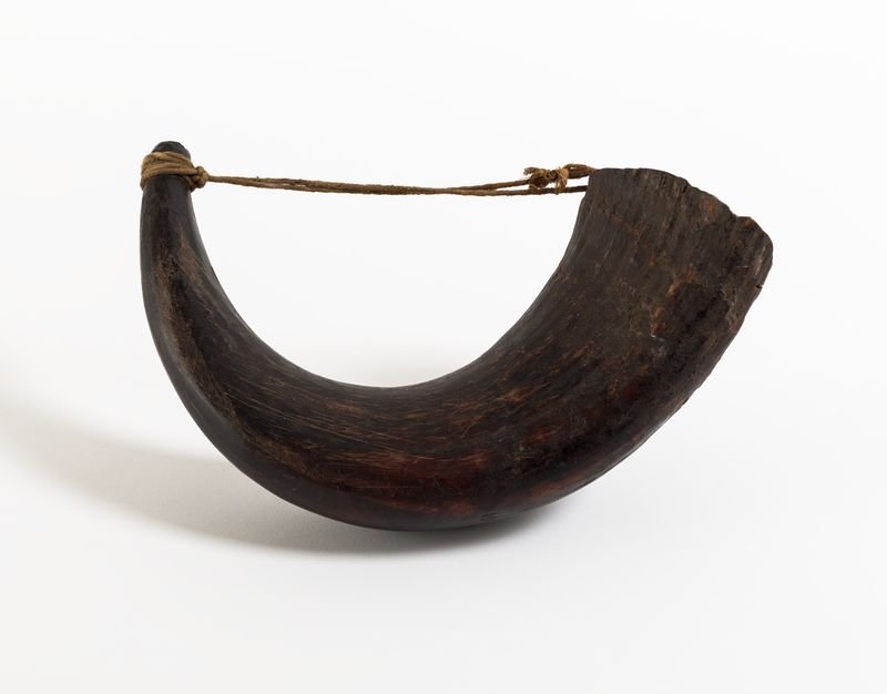 Instrument image