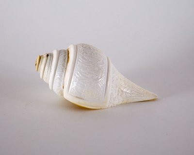 Conch-shell trumpet