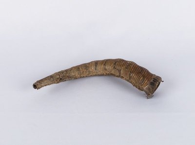 Side-blown horn