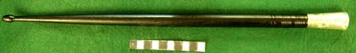 Drumstick