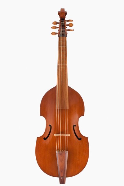 Viol