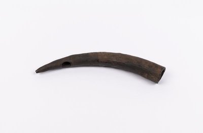 Side-blown horn