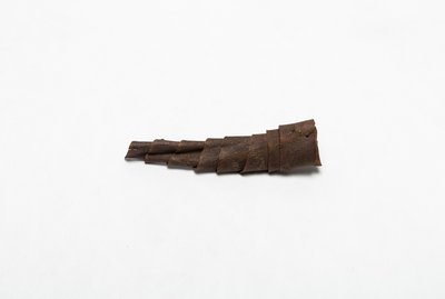 Bark trumpet