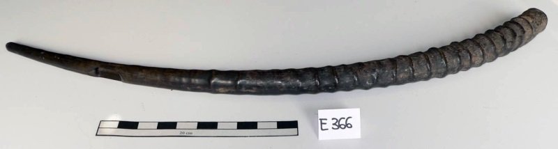 Instrument image