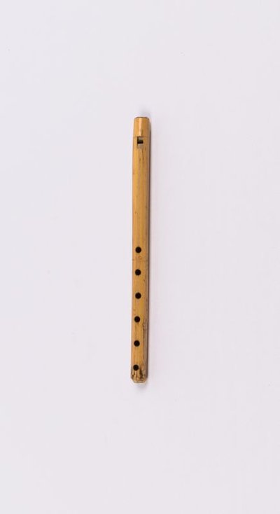 Duct flute