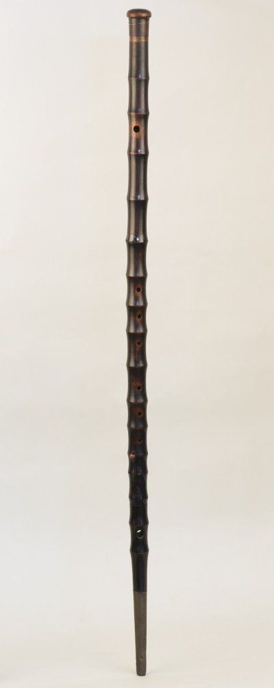 Walking-stick flute