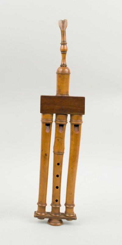 French flageolet