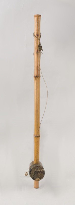 Spike fiddle