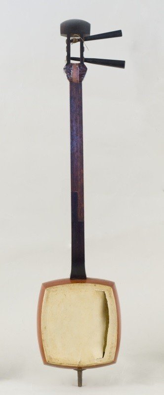 Spike fiddle