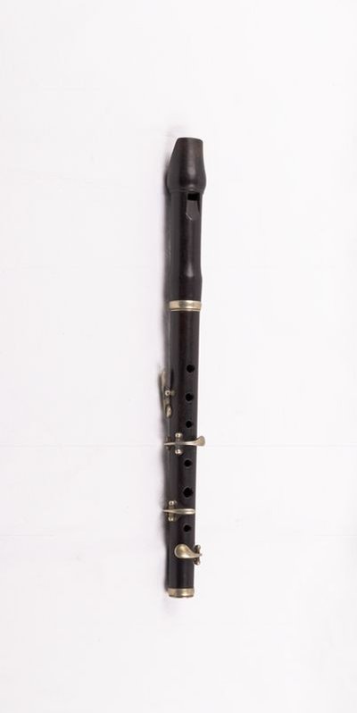 English flageolet.