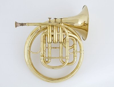 Vocal horn.