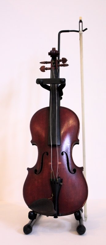 Violin