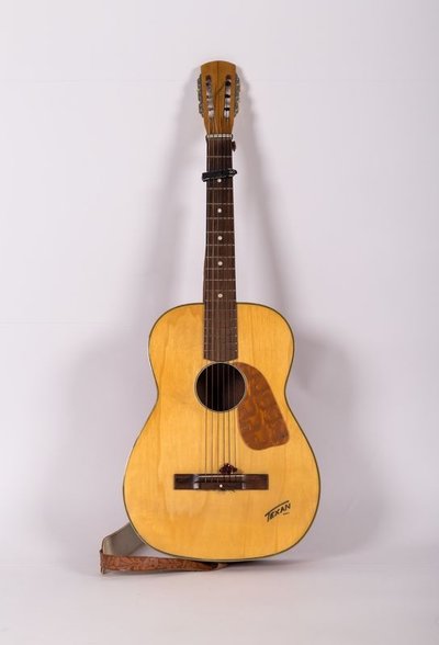 Guitar