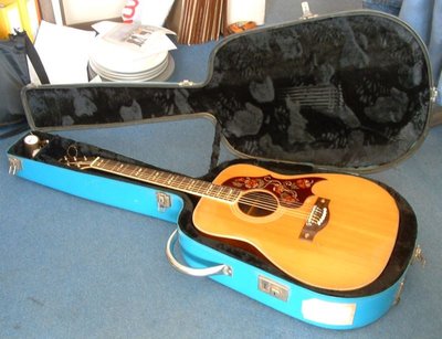Guitar