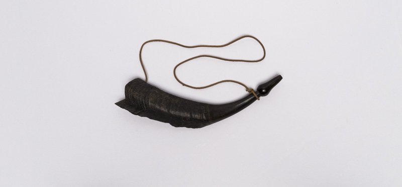 Instrument image