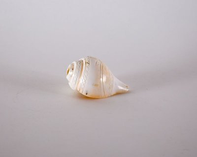 Conch-shell trumpet