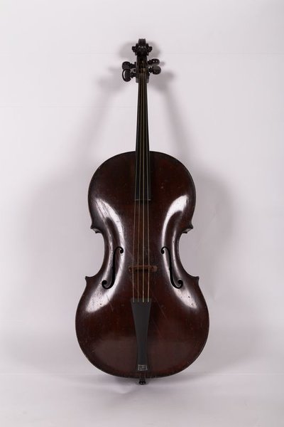 Violoncello