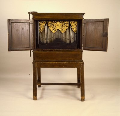 Positive organ