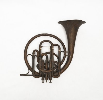 Vocal horn