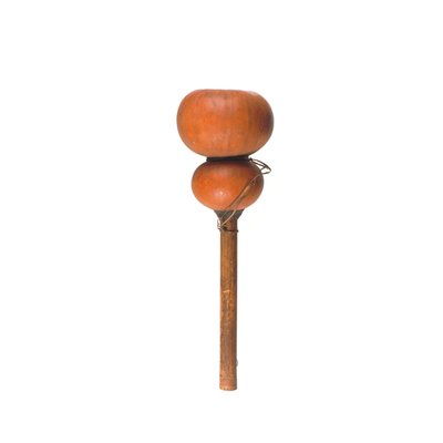 trumpet