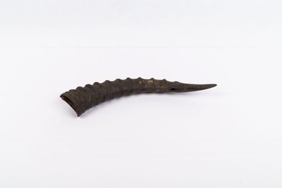 Side-blown horn