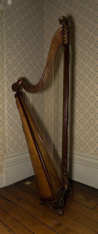 Welsh triple harp