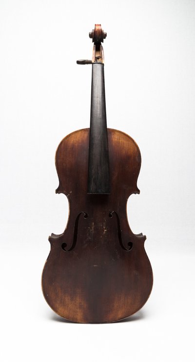 Violin