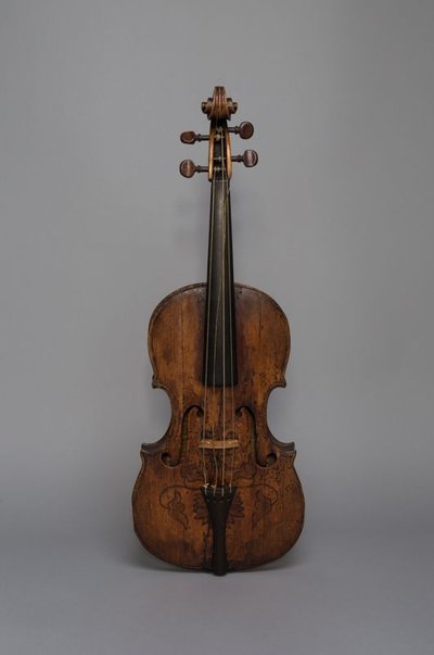 Viola