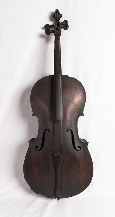 Violoncello