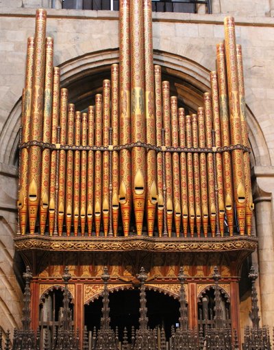 Organ