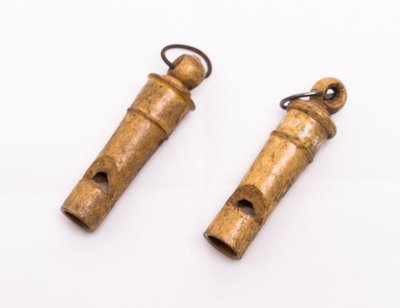 Whistle