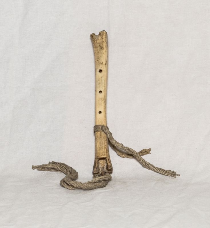 Instrument image