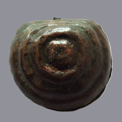 Cascabel