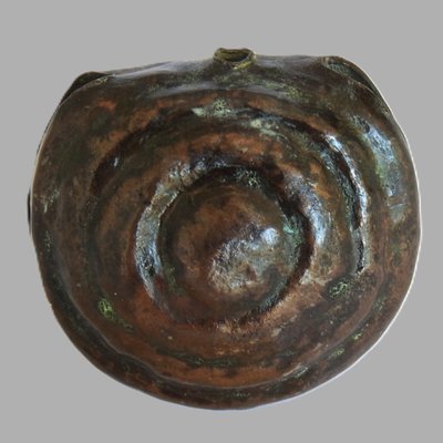 Cascabel