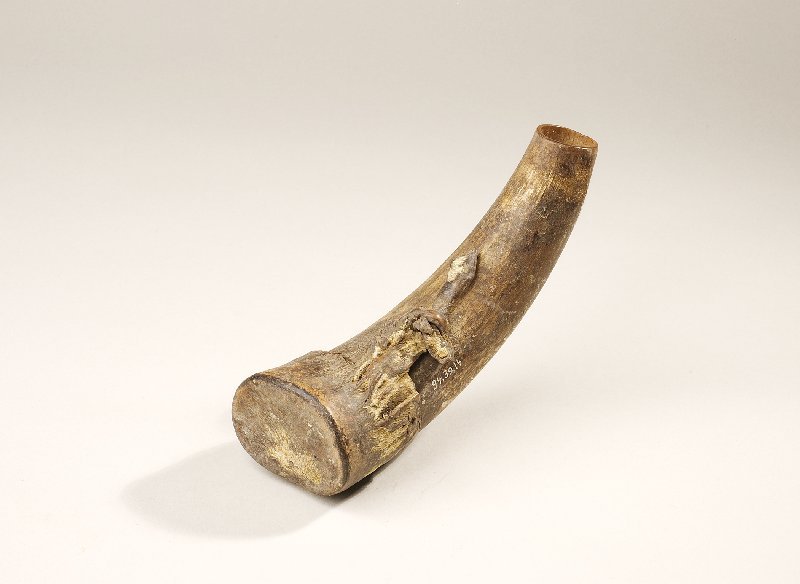 Instrument image