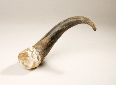 tambour hochet